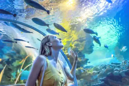 آکواریوم دبی مال