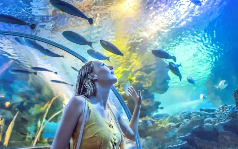 آکواریوم دبی مال